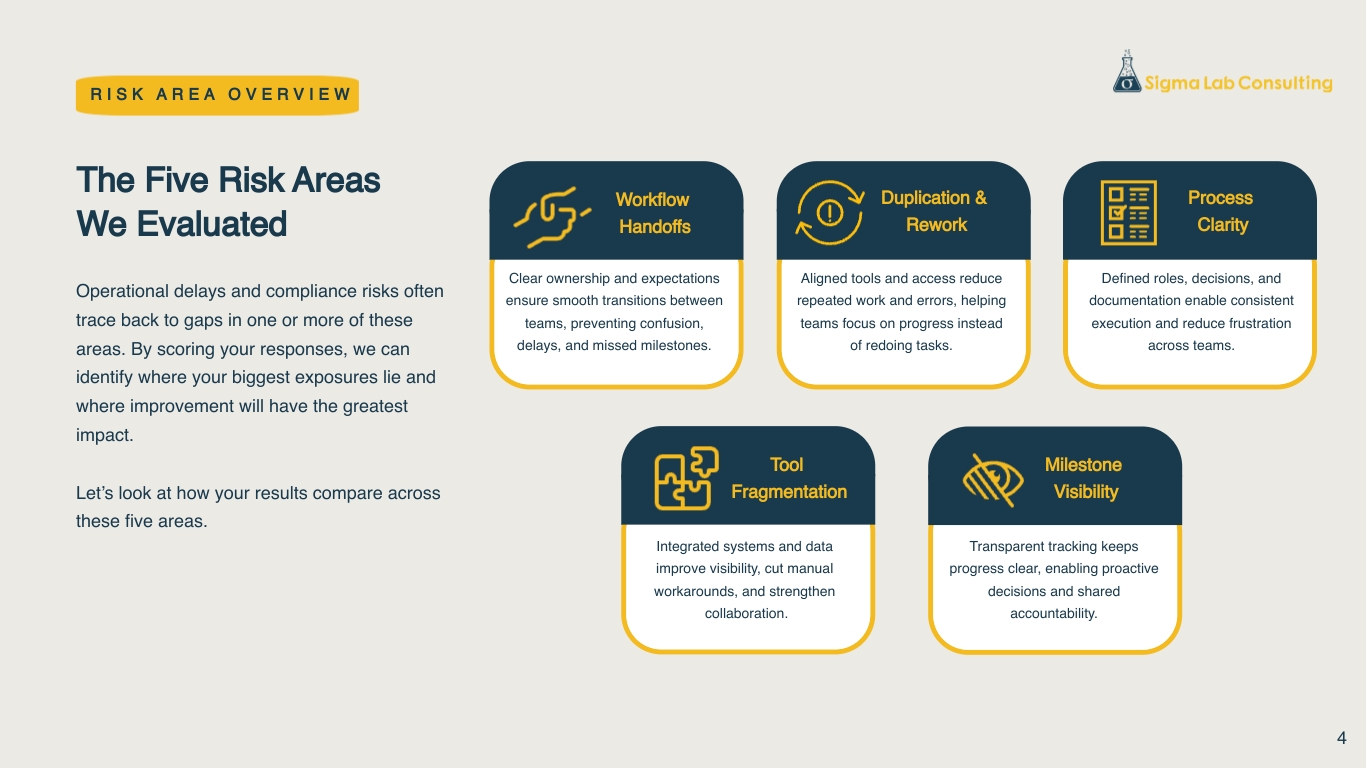 4-Risk-Area-Overview